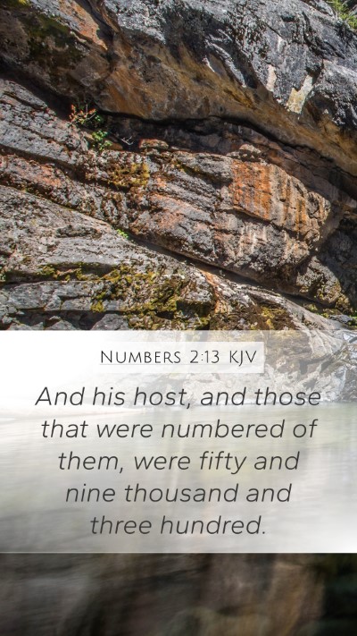 Numbers 2:13 KJV Bible Verse Image