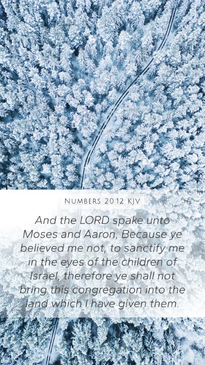 Numbers 20:12 KJV Bible Verse Image