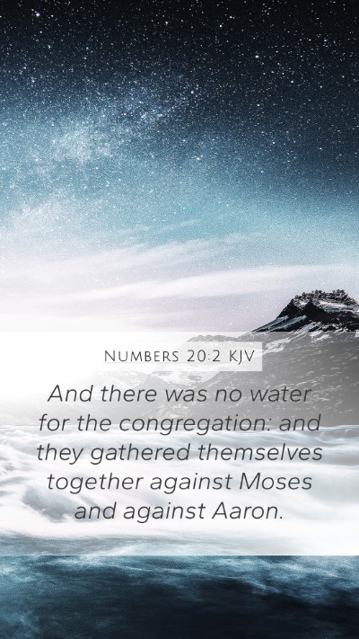 Numbers 20:2 KJV Bible Verse Image