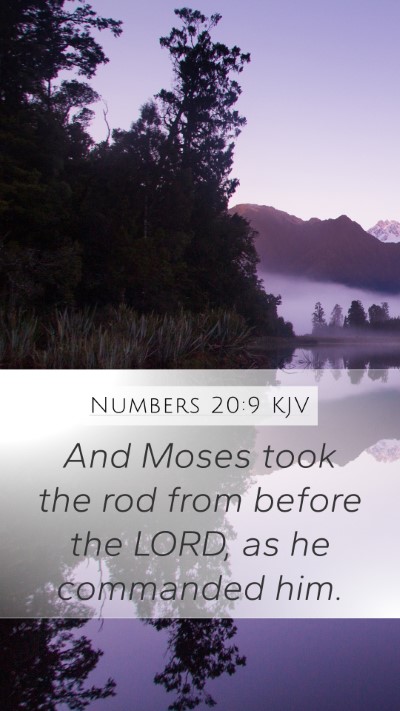 Numbers 20:9 KJV Bible Verse Image
