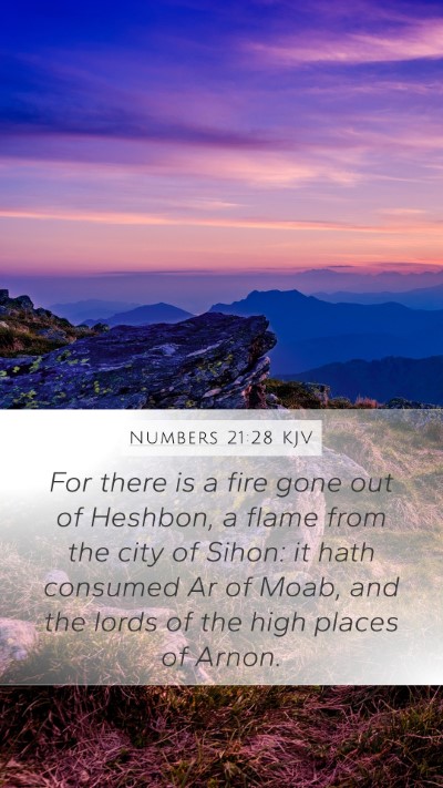 Numbers 21:28 KJV Bible Verse Image