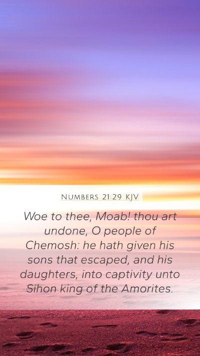 Numbers 21:29 KJV Bible Verse Image