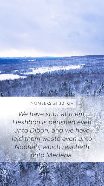 Numbers 21:30 KJV Bible Verse Image