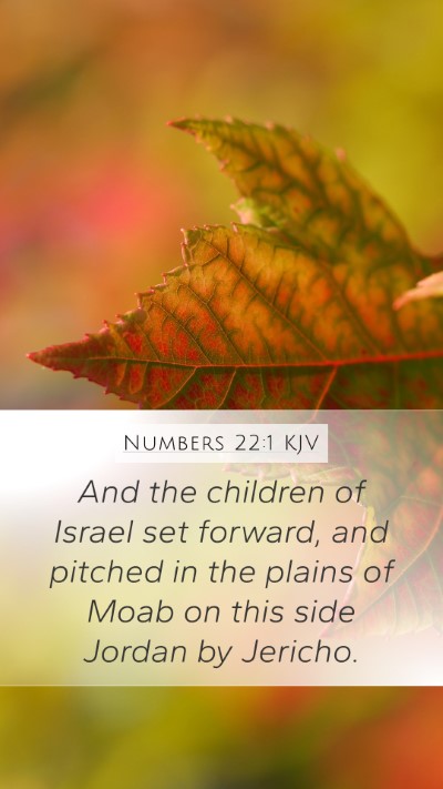 Numbers 22:1 KJV Bible Verse Image