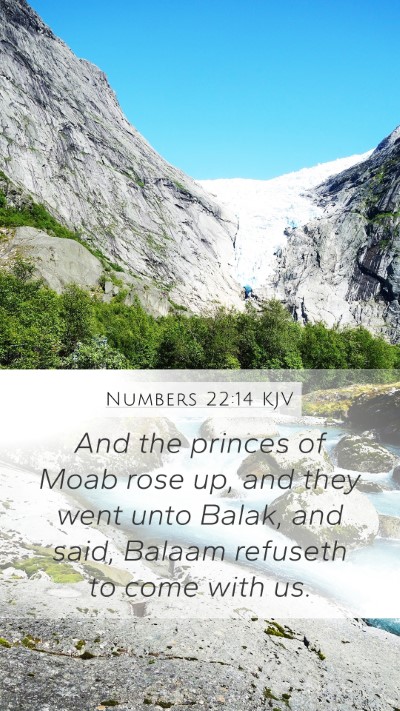 Numbers 22:14 KJV Bible Verse Image