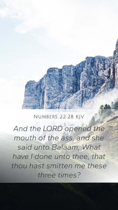 Numbers 22:28 KJV Bible Verse Image