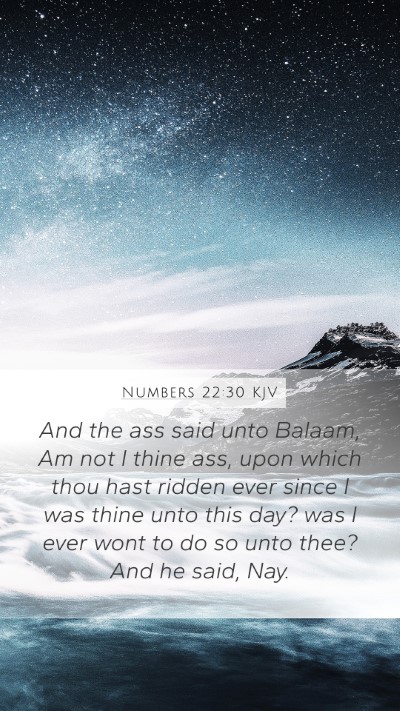 Numbers 22:30 KJV Mobile Phone Wallpaper - And the ass said unto Balaam, Am not I thine ass, - Mobile Bible Verse Wallpaper