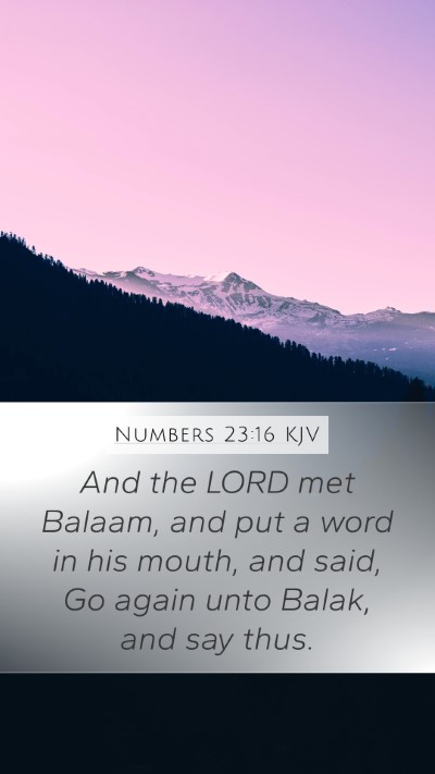 Numbers 23:16 KJV Bible Verse Image