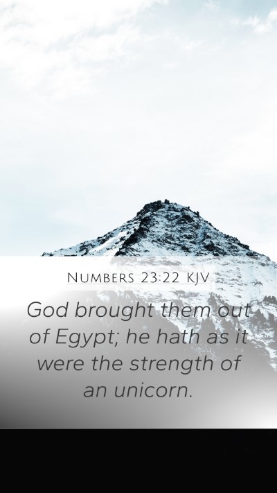 Numbers 23:22 KJV Bible Verse Image