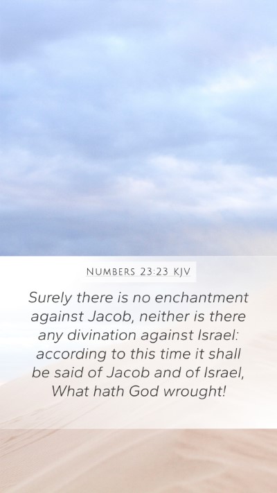 Numbers 23:23 KJV Bible Verse Image
