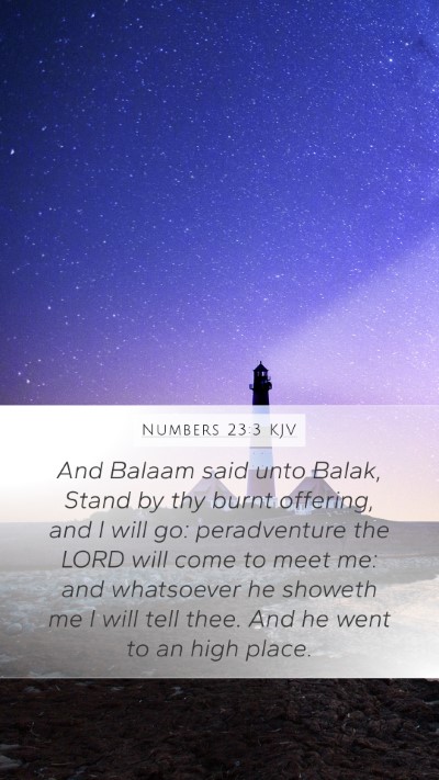 Numbers 23:3 KJV Bible Verse Image