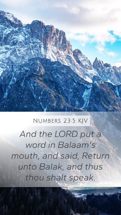 Numbers 23:5 KJV Bible Verse Image