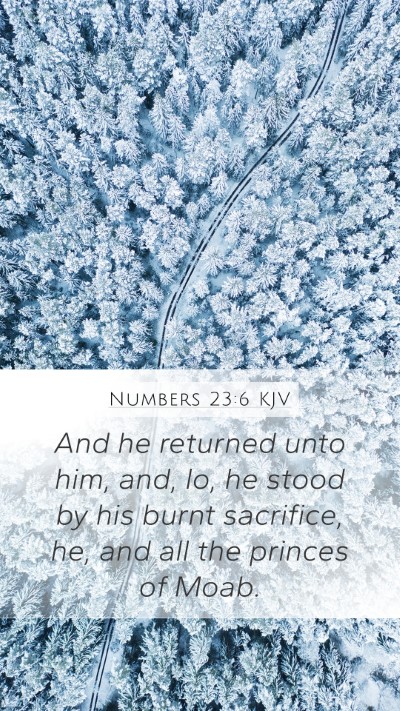 Numbers 23:6 KJV Mobile Phone Wallpaper - And he returned unto him, and, lo, he stood by - Mobile Bible Verse Wallpaper