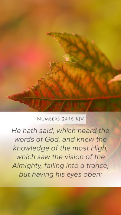 Numbers 24:16 KJV Bible Verse Image