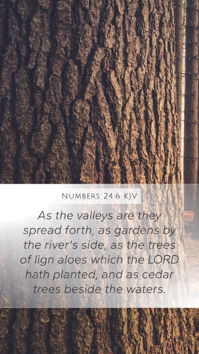 Numbers 24:6 KJV Bible Verse Image