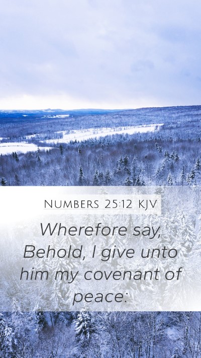 Numbers 25:12 KJV Mobile Phone Wallpaper - Wherefore say, Behold, I give unto him my - Mobile Bible Verse Wallpaper