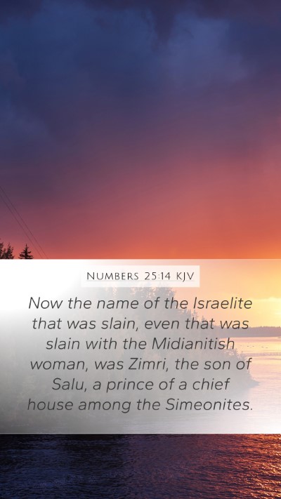 Numbers 25:14 KJV Bible Verse Image