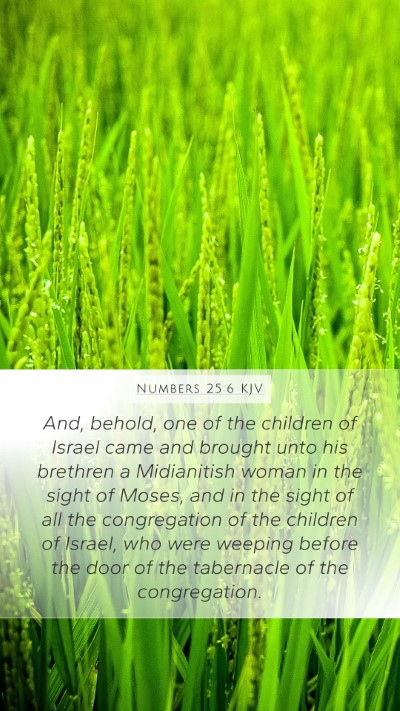 Numbers 25:6 KJV Bible Verse Image