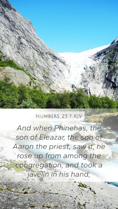 Numbers 25:7 KJV Bible Verse Image