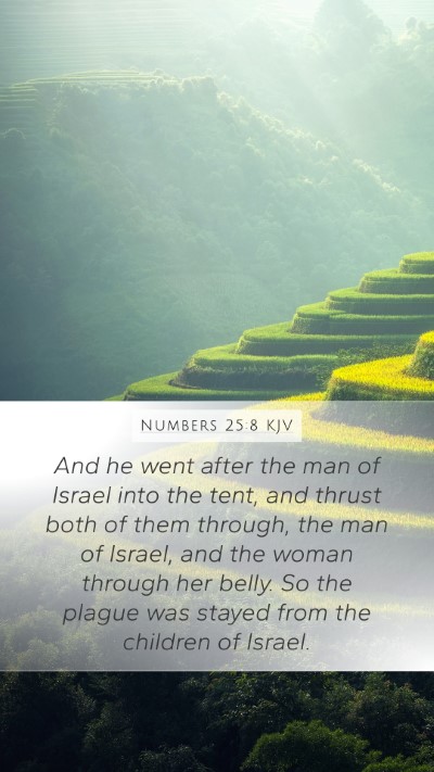 Numbers 25:8 KJV Bible Verse Image