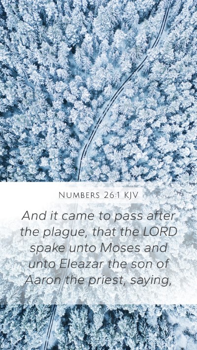 Numbers 26:1 KJV Bible Verse Image