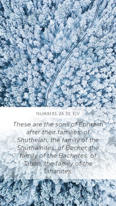 Numbers 26:35 KJV Bible Verse Image