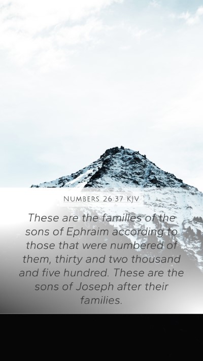 Numbers 26:37 KJV Bible Verse Image