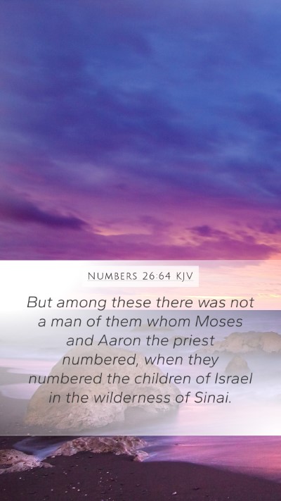 Numbers 26:64 KJV Bible Verse Image