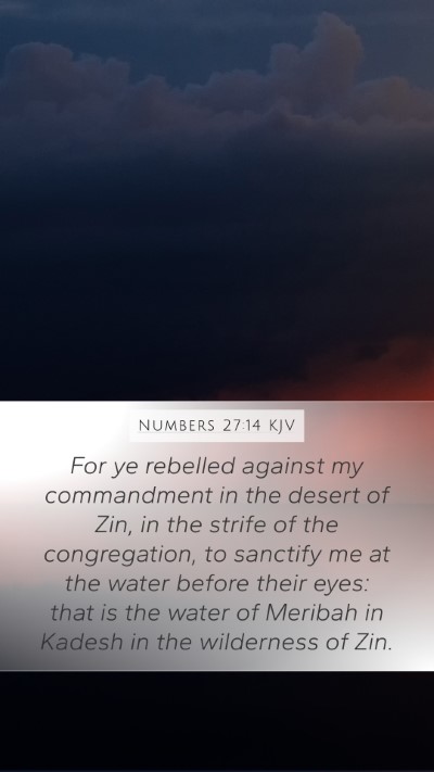Numbers 27:14 KJV Bible Verse Image