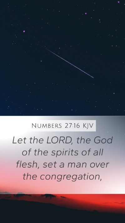 Numbers 27:16 KJV Bible Verse Image
