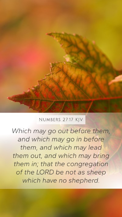 Numbers 27:17 KJV Bible Verse Image