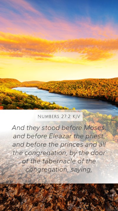 Numbers 27:2 KJV Bible Verse Image