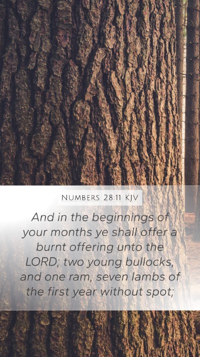 Numbers 28:11 KJV Bible Verse Image