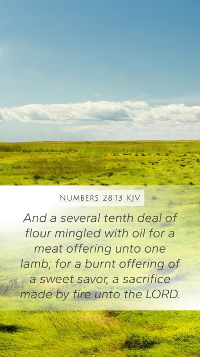Numbers 28:13 KJV Mobile Phone Wallpaper - And a several tenth deal of flour mingled with - Mobile Bible Verse Wallpaper