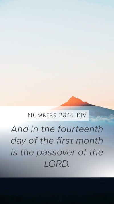 Numbers 28:16 KJV Bible Verse Image