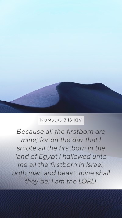 Numbers 3:13 KJV Bible Verse Image