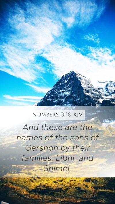 Numbers 3:18 KJV Bible Verse Image