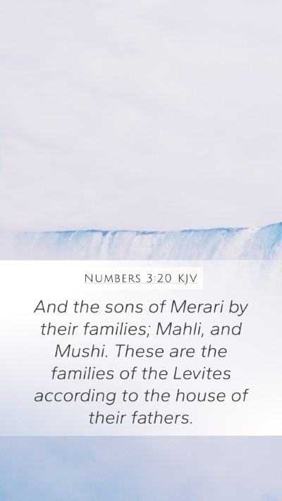 Numbers 3:20 KJV Bible Verse Image
