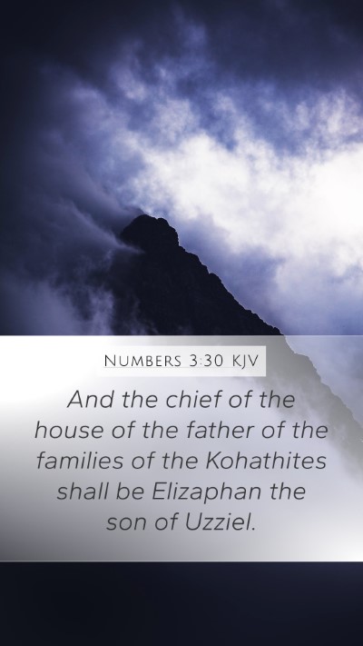 Numbers 3:30 KJV Bible Verse Image