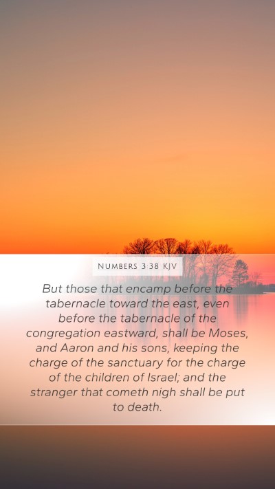 Numbers 3:38 KJV Bible Verse Image