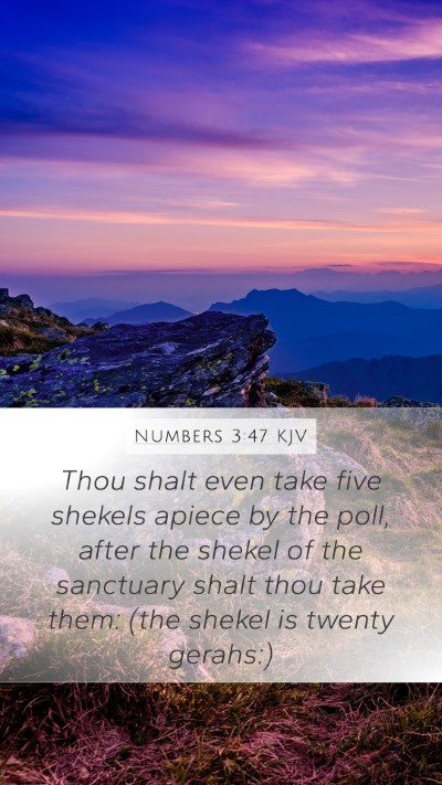 Numbers 3:47 KJV Bible Verse Image