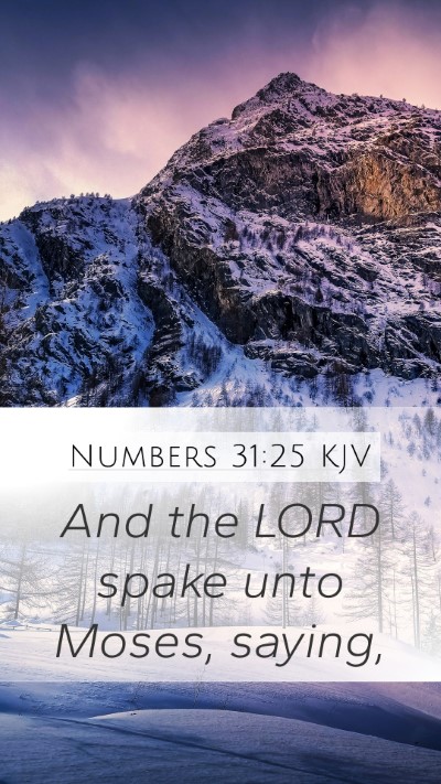 Numbers 31:25 KJV Mobile Phone Wallpaper - And the LORD spake unto Moses, - Mobile Bible Verse Wallpaper