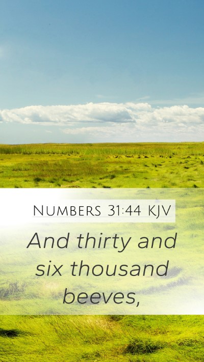 Numbers 31:44 KJV Mobile Phone Wallpaper - And thirty and six thousand - Mobile Bible Verse Wallpaper