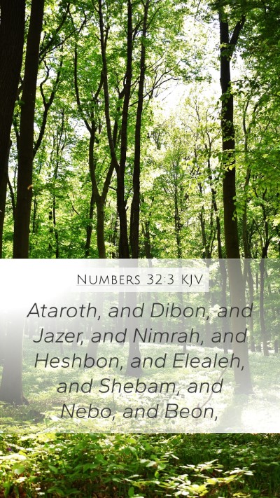 Numbers 32:3 KJV Bible Verse Image