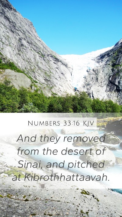 Numbers 33:16 KJV Bible Verse Image