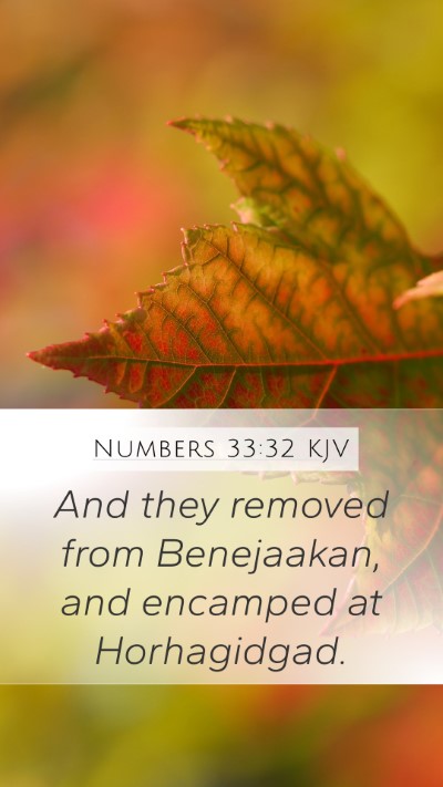 Numbers 33:32 KJV Mobile Phone Wallpaper - And they removed from Benejaakan, and encamped at - Mobile Bible Verse Wallpaper