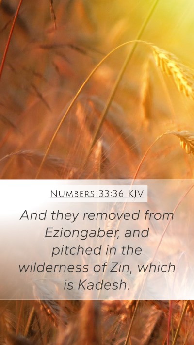 Numbers 33:36 KJV Bible Verse Image
