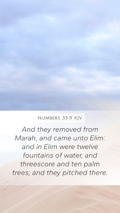 Numbers 33:9 KJV Bible Verse Image