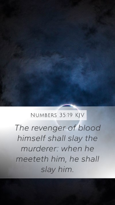 Numbers 35:19 KJV Bible Verse Image