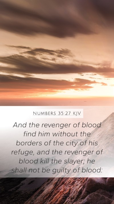 Numbers 35:27 KJV Bible Verse Image